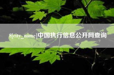 成都中国执行信息公开网查询