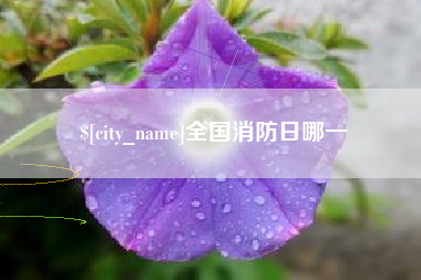 成都全国消防日哪一
