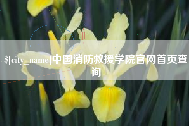 成都中国消防救援学院官网首页查询