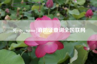 成都消防证查询全国联网