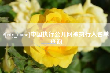 成都中国执行公开网被执行人名单查询