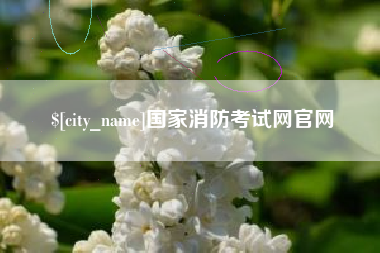 成都国家消防考试网官网
