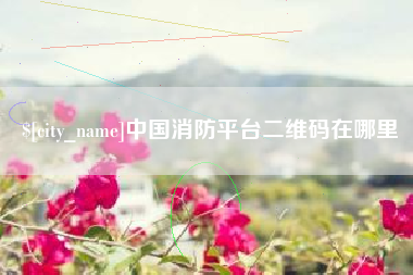 成都中国消防平台二维码在哪里