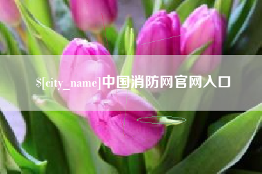 成都中国消防网官网入口