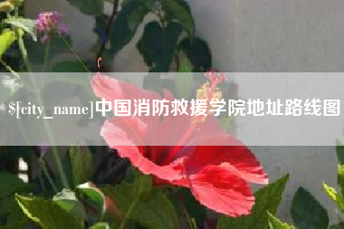 成都中国消防救援学院地址路线图