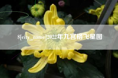 成都2022年九宫格飞星图