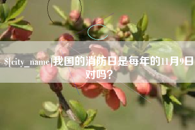 成都我国的消防日是每年的11月9日对吗？