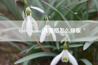 成都九宫格怎么排版