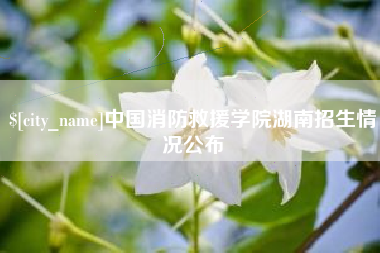 成都中国消防救援学院湖南招生情况公布