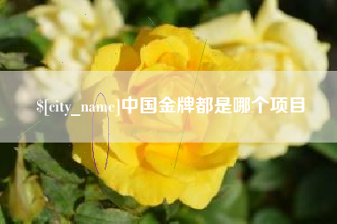 成都中国金牌都是哪个项目