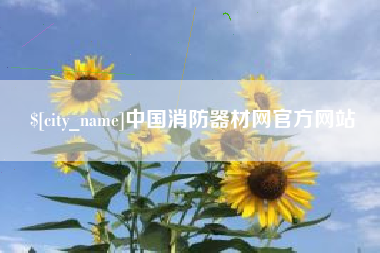 成都中国消防器材网官方网站