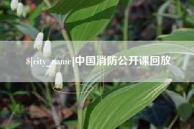 成都中国消防公开课回放
