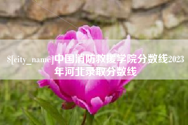 成都中国消防救援学院分数线2023年河北录取分数线
