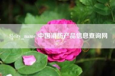 成都中国消防产品信息查询网