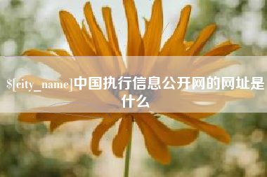 成都中国执行信息公开网的网址是什么