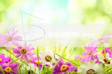 成都中国消防网1190119