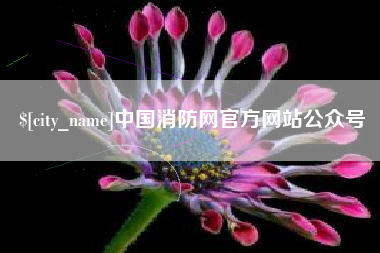 成都中国消防网官方网站公众号