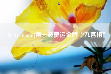 成都第一波奥运金牌“九宫格”