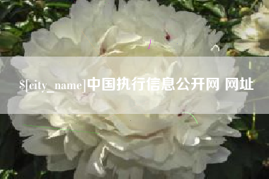 成都中国执行信息公开网 网址