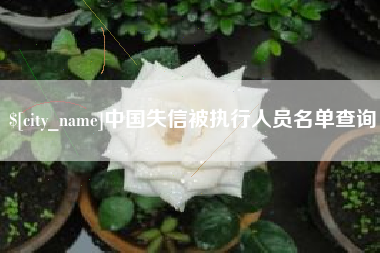 成都中国失信被执行人员名单查询