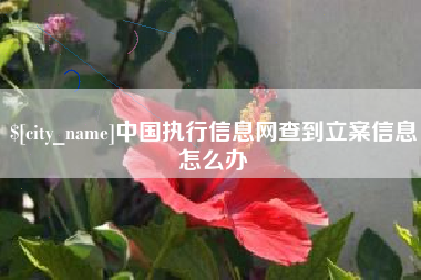 成都中国执行信息网查到立案信息怎么办