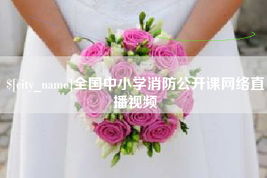 成都全国中小学消防公开课网络直播视频