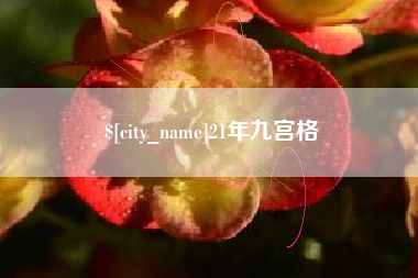 成都21年九宫格