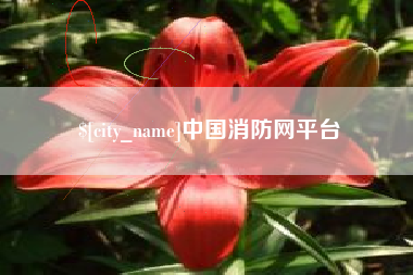 成都中国消防网平台