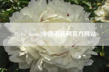 成都中国消防网官方网站