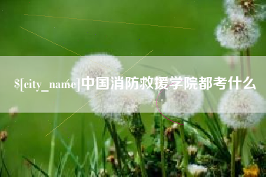 成都中国消防救援学院都考什么
