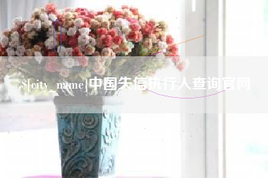 成都中国失信执行人查询官网
