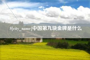 成都中国第九块金牌是什么