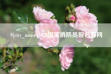 成都2021国家消防员报名官网