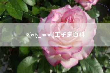 成都王子豪百科
