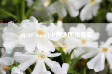 成都中国地图像素版