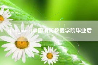 成都中国消防救援学院毕业后
