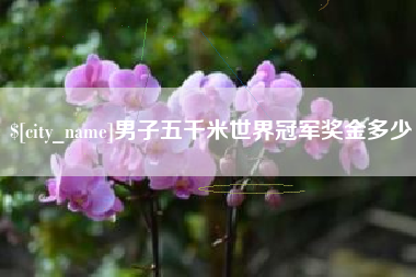 成都男子五千米世界冠军奖金多少