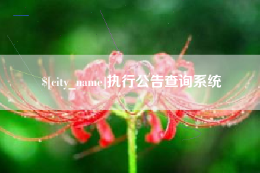 成都执行公告查询系统