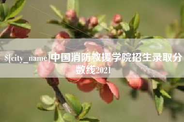 成都中国消防救援学院招生录取分数线2021