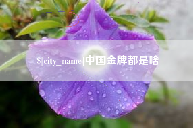 成都中国金牌都是啥