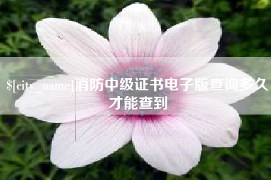 成都消防中级证书电子版查询多久才能查到