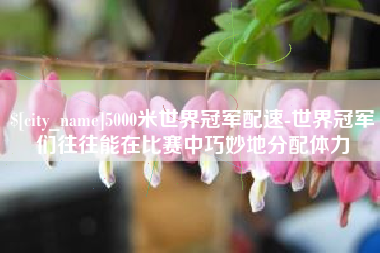成都5000米世界冠军配速-世界冠军们往往能在比赛中巧妙地分配体力