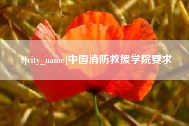 成都中国消防救援学院要求