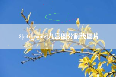 成都九宫图分割线图片