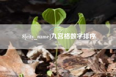 成都九宫格数字排序