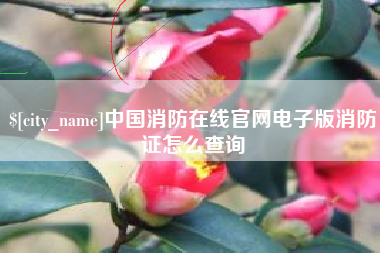 成都中国消防在线官网电子版消防证怎么查询