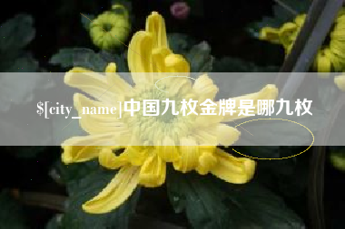 成都中国九枚金牌是哪九枚