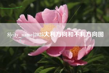 成都2025大利方向和不利方向图