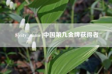 成都中国第九金牌获得者