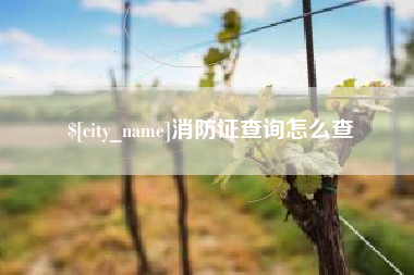 成都消防证查询怎么查